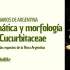 Próximo Taller RedHar – Aspectos básicos de sistemática y morfología de las Cucurbitaceae de Argentina – Dr. Raúl Pozner